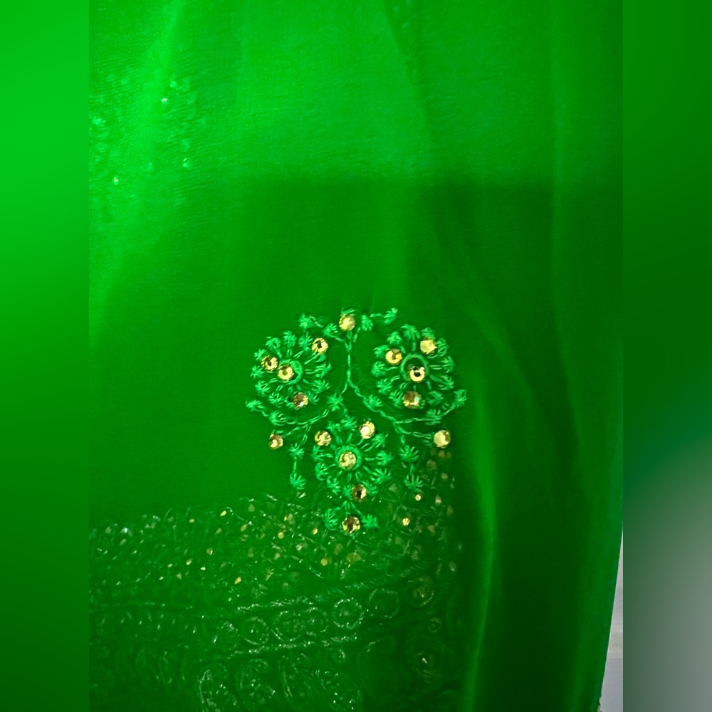 Parrot green georgette heavy saree - Picture 7 of 7